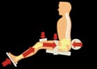 krafttraining des rueckensteckers